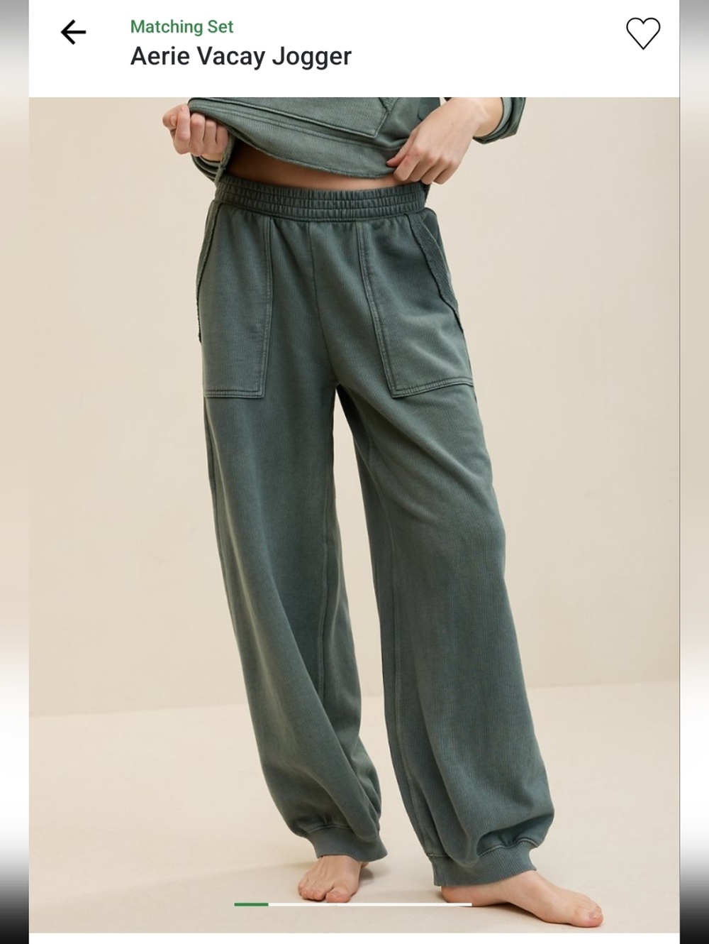 Aerie Vacay Jogger in Royal Palm Large